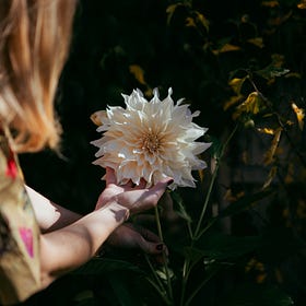 The Softening retreat | late autumn.