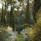 Rule #8 - Grow Culture