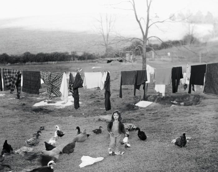 A child stands beneath a washing line surrounded by ducks and chickens