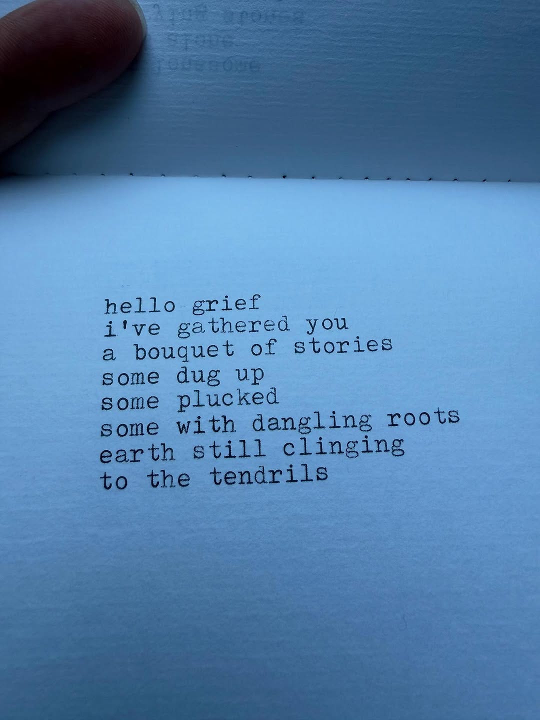 photo and text by Angela Franklin https://www.instagram.com/rememberingwildness?utm_source=ig_web_button_share_sheet&igsh=ZDNlZDc0MzIxNw==