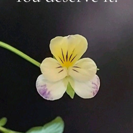 I was never here logo