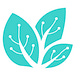 Bhatany - Sprouting Ideas for Alpha