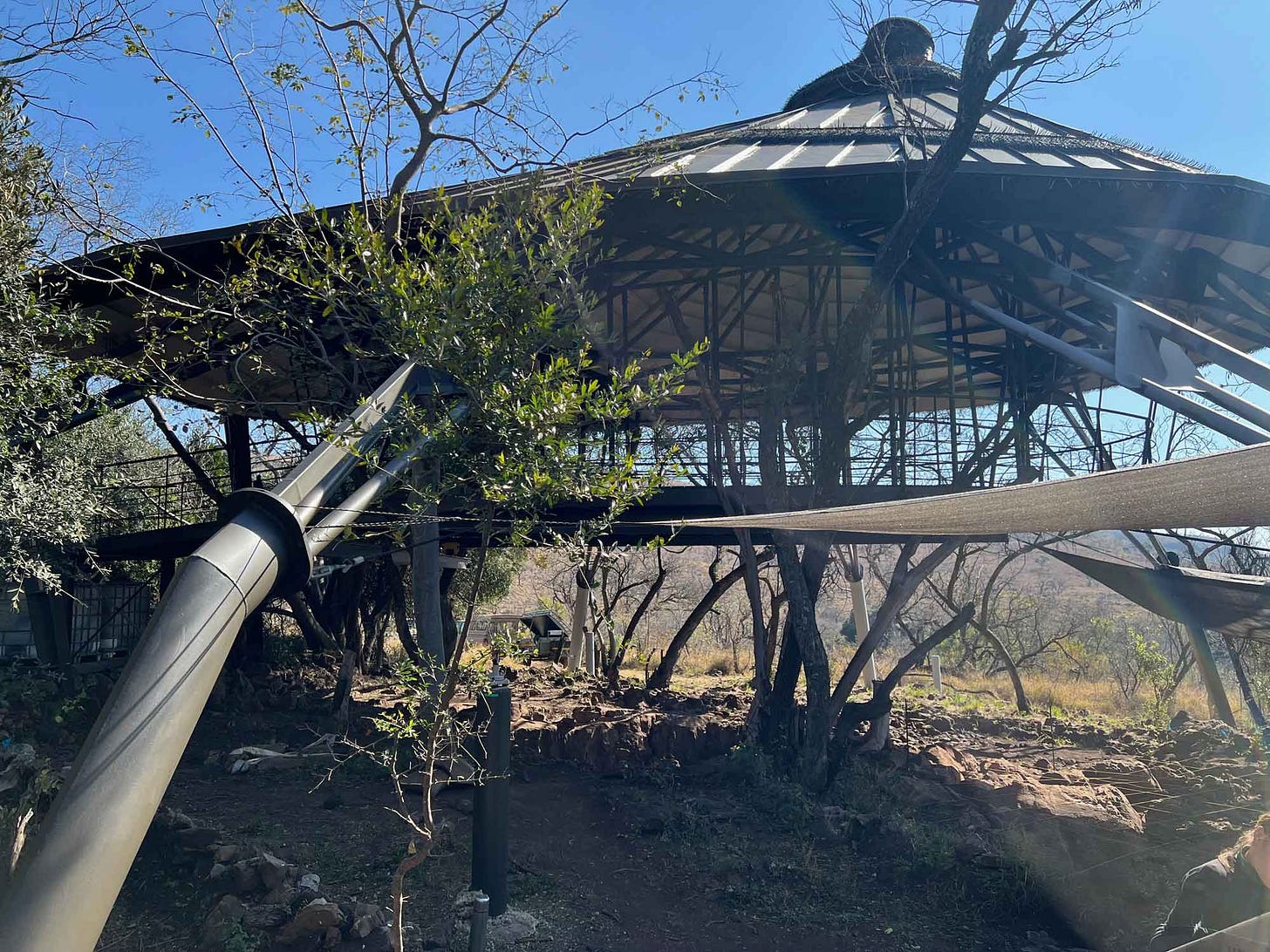 Malapa site beneath structure with roof