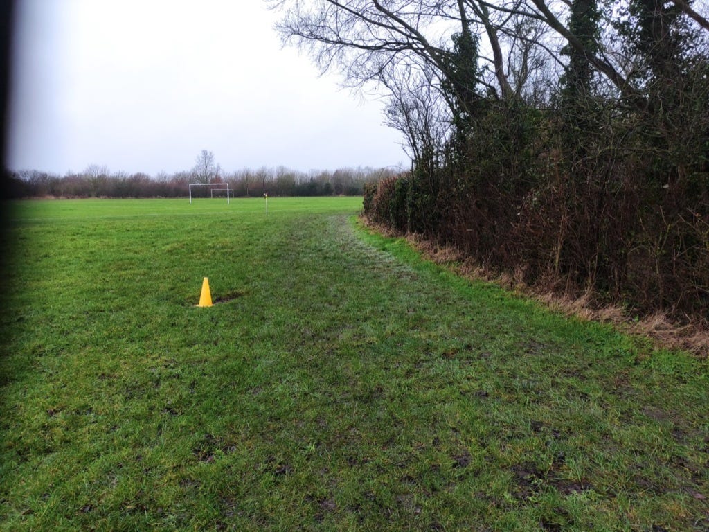 A hedge marks the edge of the field, with a yellow cone marking the route, and a pothole to avoid.