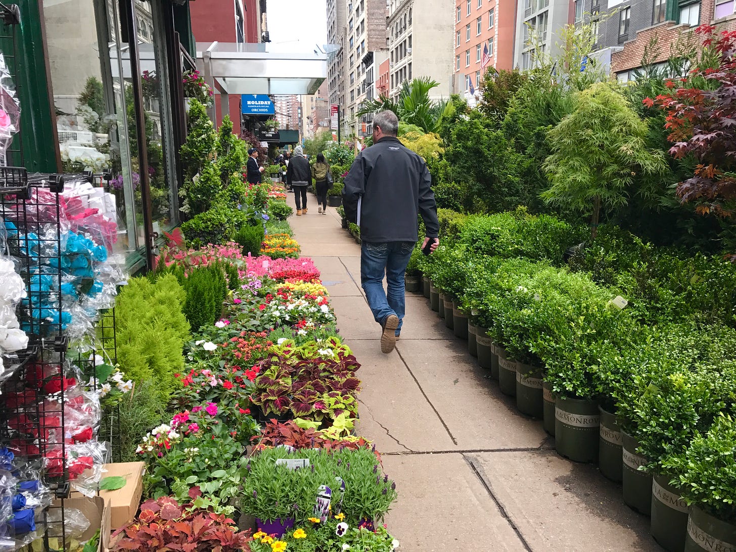 SPEND A MORNING IN THE CHELSEA FLOWER MARKET