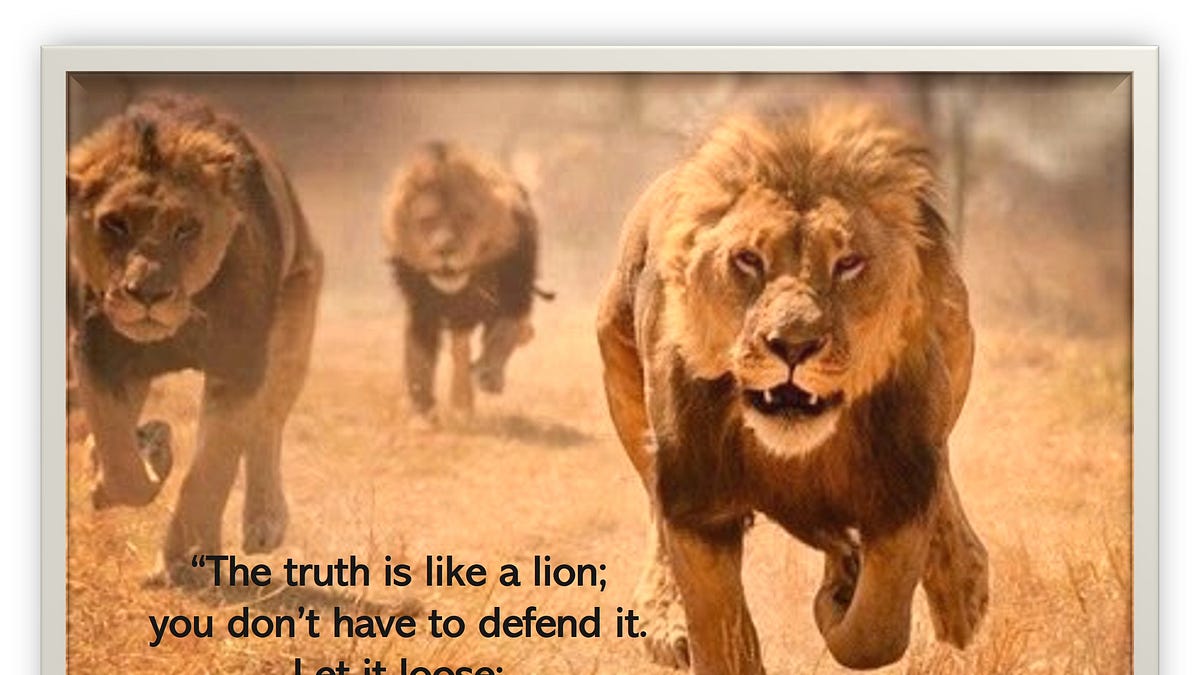 Adam Skelly and Adamson BBQ v. Toronto and Ontario: Was there government overreach?