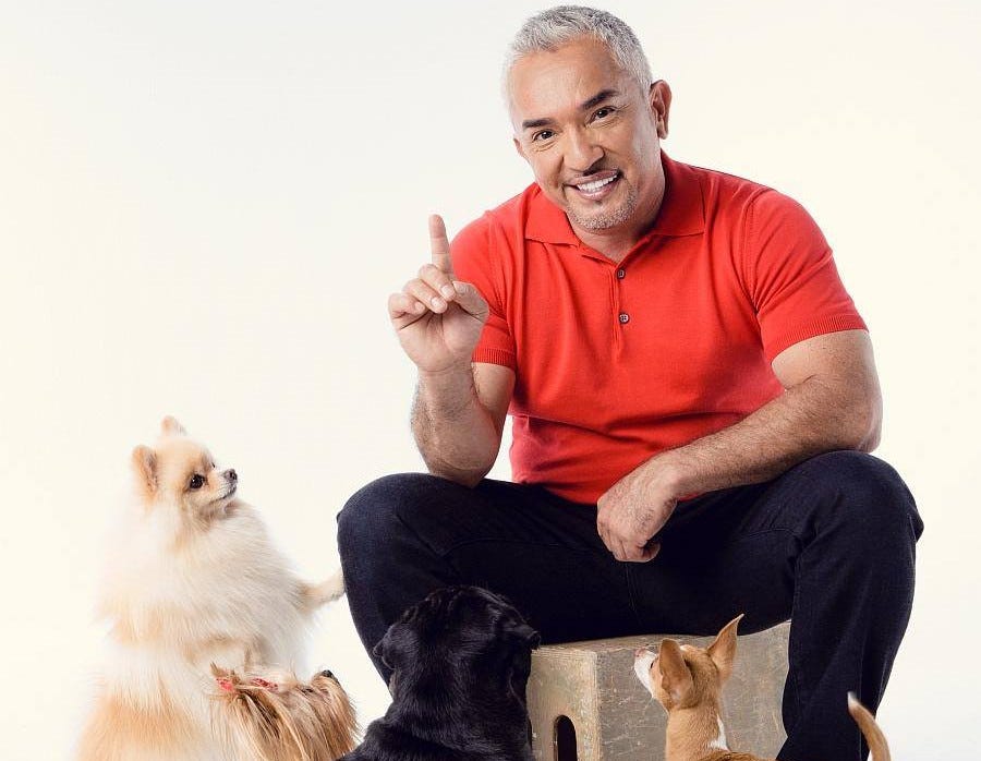Cesar Millan Facebook