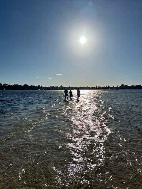 A pelican comes in to land in a glistening river; three silhouettes walk out on a sandbar, creating the illusion they're walking on water; an iconic black swan glides on the water; a cluster of trees in the centre of a nearly empty lake is reflected in what little water there is; a sweet black miniature schnauzer with perky ears gazes adoringly at her human, out of shot; and two blue Ikea bags hold stacks of folded up newspapers.