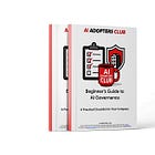 Beginner's Guide to AI Governance