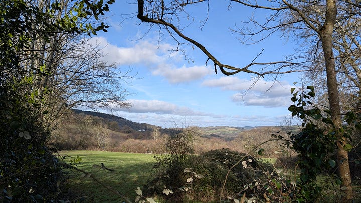Landscapes and Devon hedgerows