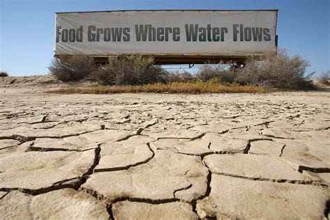 The Effects of Drought