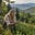 Appalachian Girl's avatar