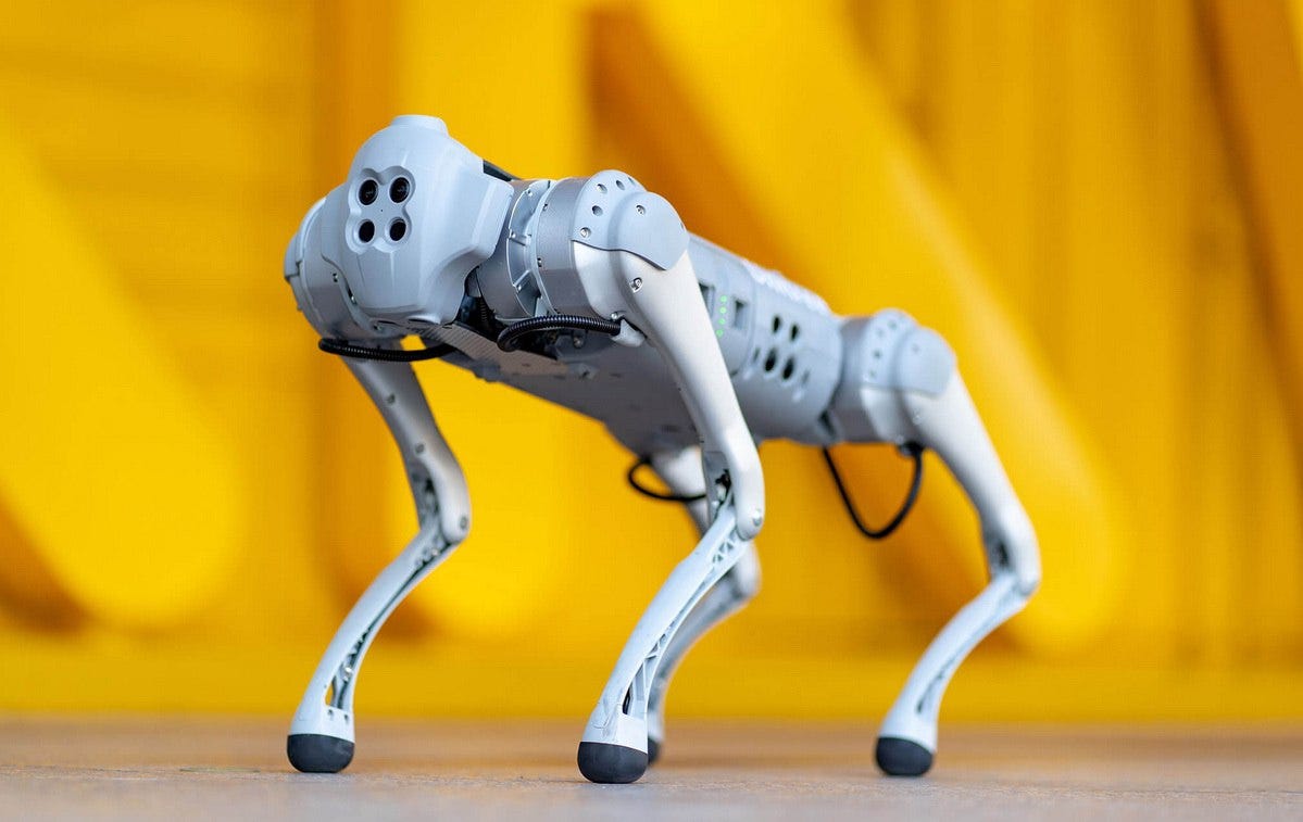 Researchers Discover Backdoor in Unitree Go1 Robodog