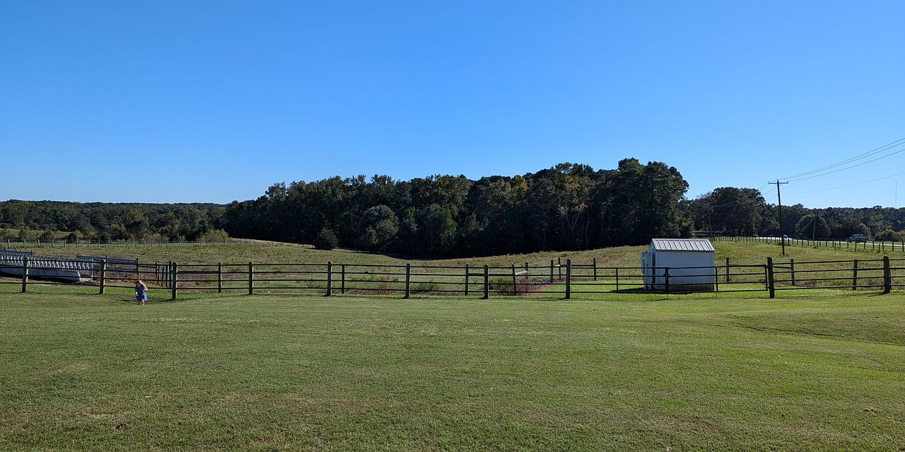 To Be a Mother Is To Be a Home