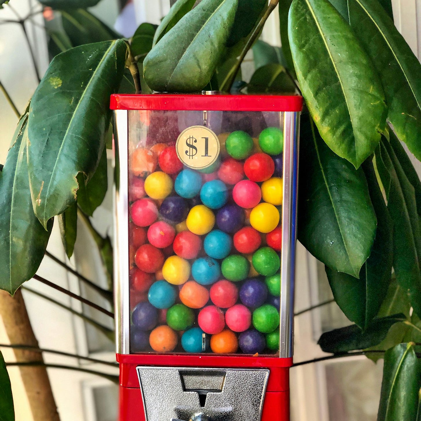 gumball dispenser beside plant gumball dispenser beside plant