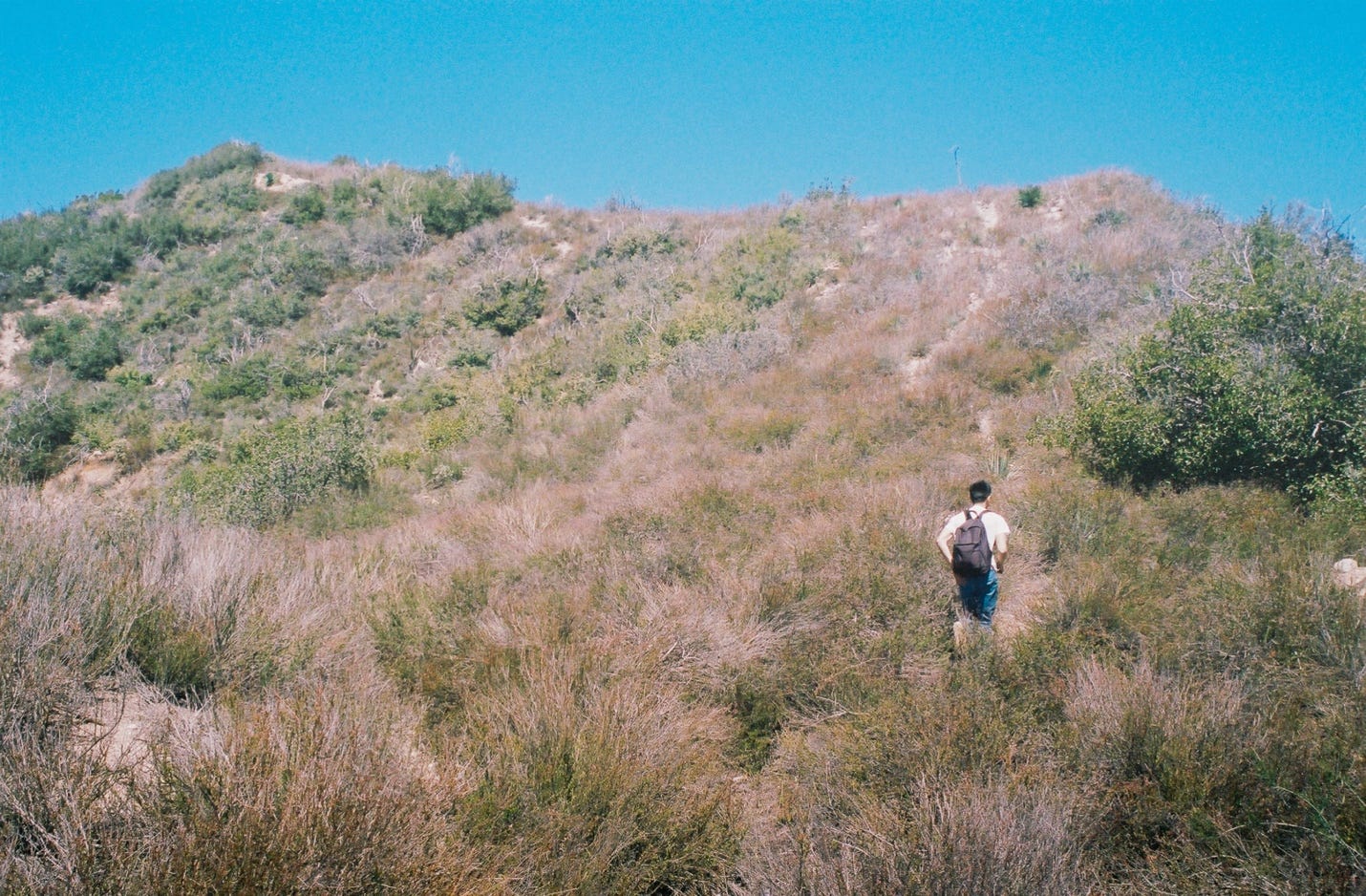 A person walking on a hill

Description automatically generated with low confidence