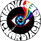 I 4 Migliori Libri sui Pink Floyd che Ogni Fan Dovrebbe Leggere