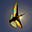Ambre's avatar