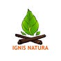 Ignis Natura's avatar
