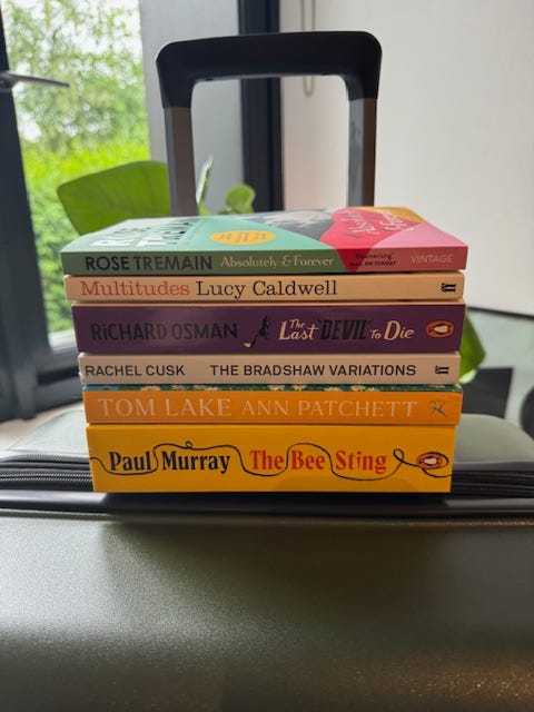 Image By Author - Holiday TBR Pile