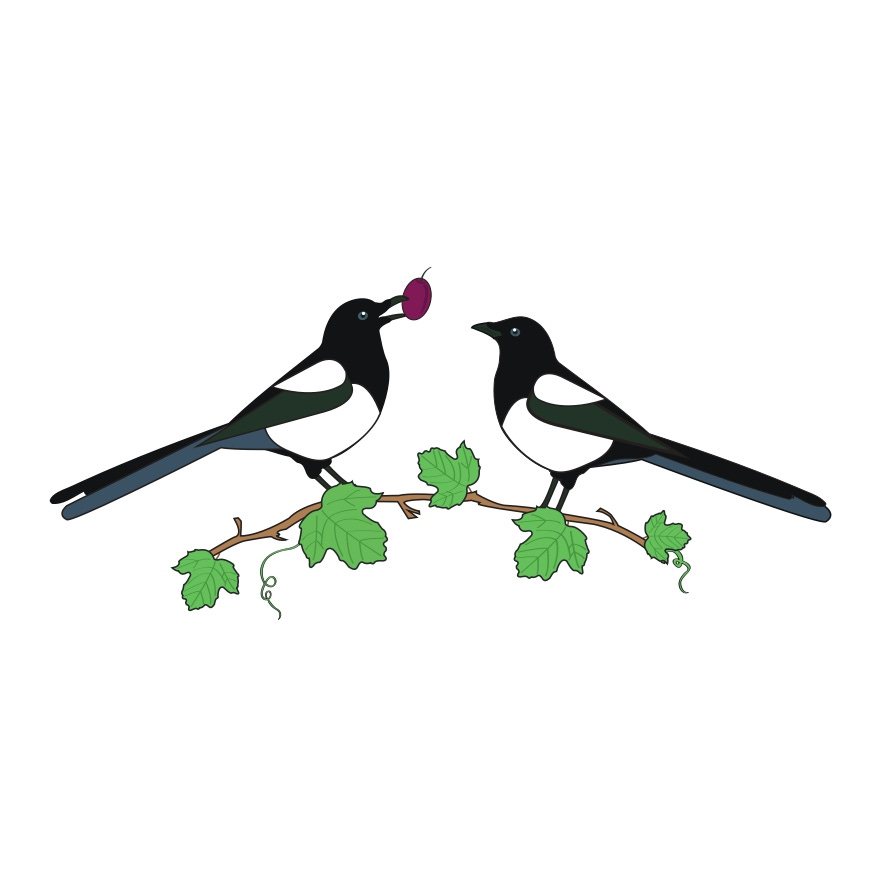 The Magpie's Balancing Act