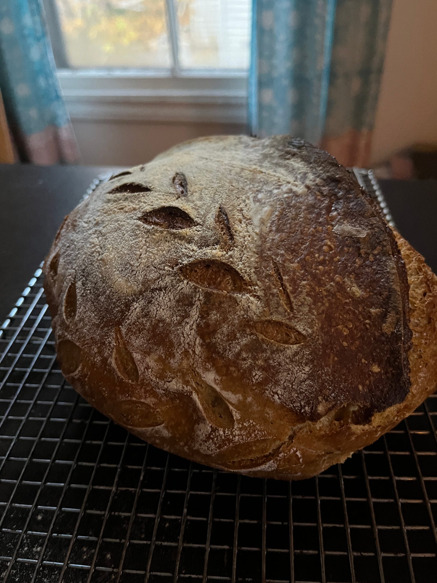 A very pretty (if I may so myself) loaf of sourdough with a motif of leaves on the crust.