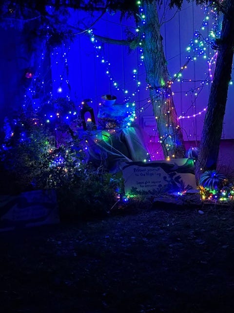 The lit bushes of the Aurora Wisp Swarm.