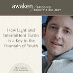 The Light Between