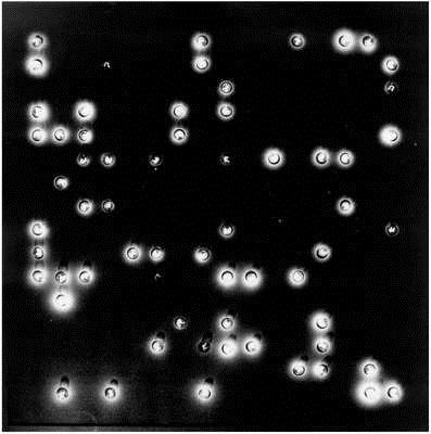 Random 63, 1969 - Vladimir Bonacic
