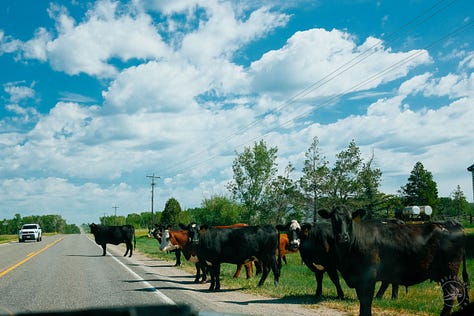 Fuji photographs of life in Montana by Tyler Knott Gregson 