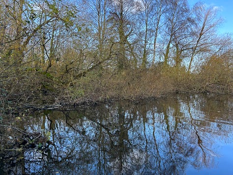 Photos from Langford Lakes, Wiltshire Images: Roland's Travels