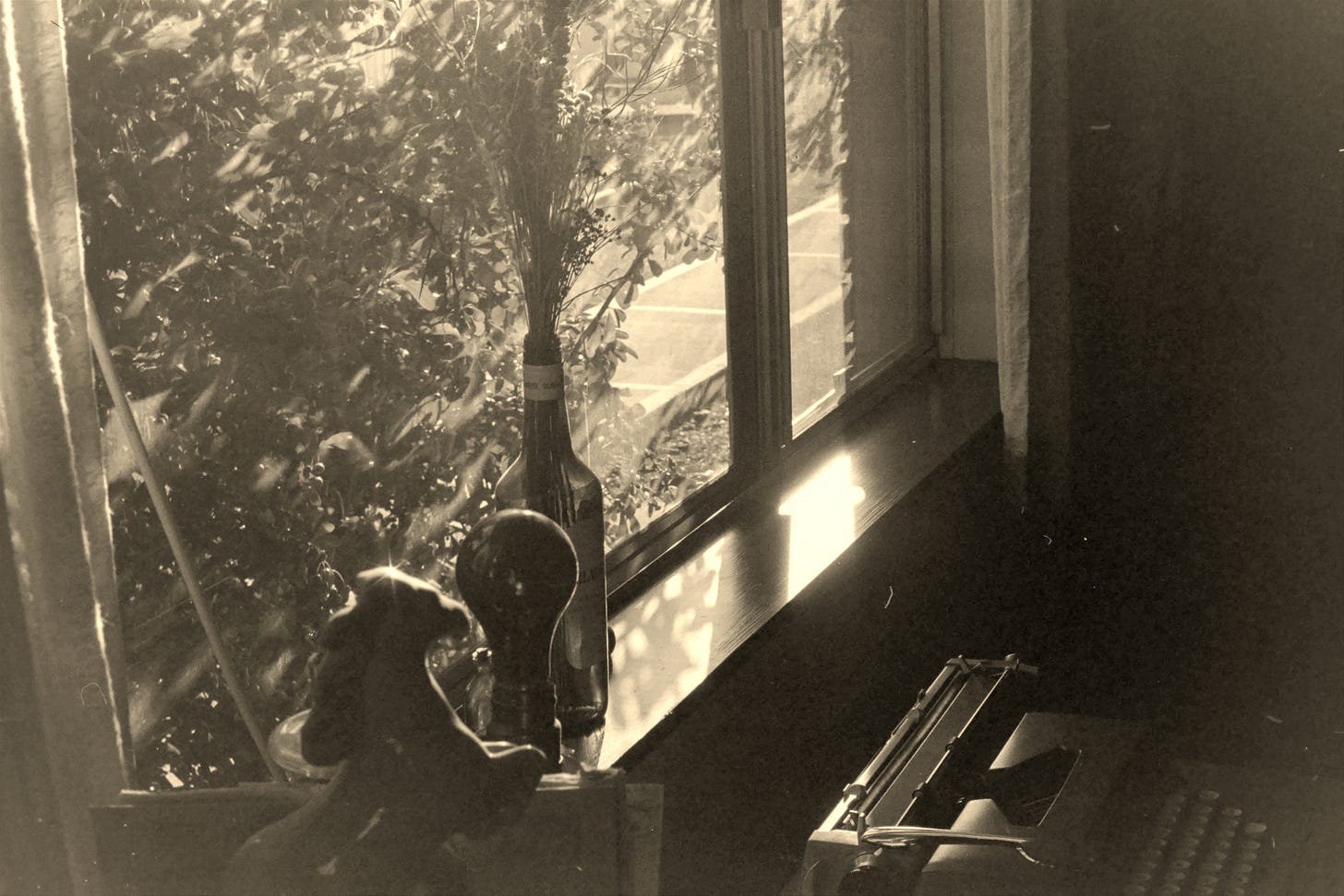 Black-and-white photo of a sunlit window with a wine bottle holding dried flowers on the sill. Outside, leafy branches catch the light. In the foreground, a silhouette of a small dog figurine and a large light bulb sit beside a vintage typewriter, partially visible in shadow. Dust particles and soft reflections add a nostalgic, dreamy atmosphere.