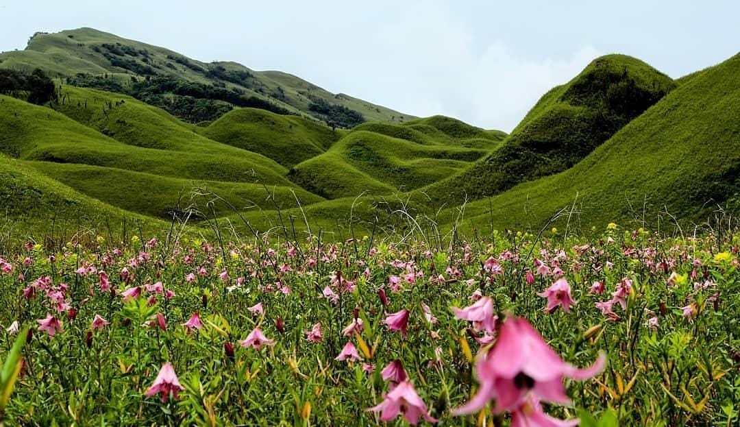 Dzukou Valley