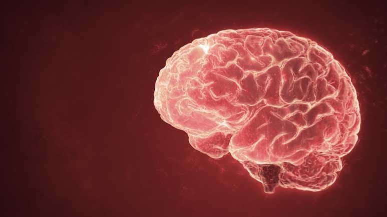 copper and brain health