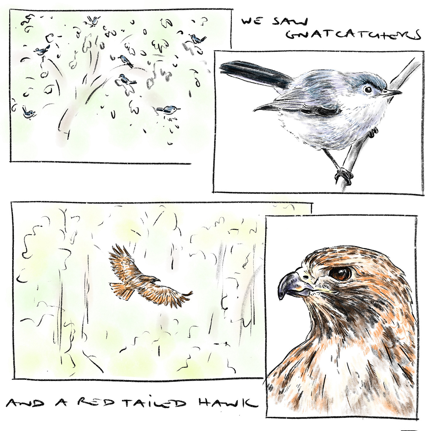 Untitled_Artwork 6.jpg