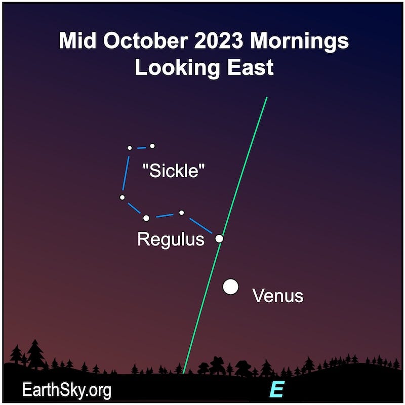 Star chart with near vertical green line of ecliptic, with Sickle, star Regulus and Venus labeled. Star chart with near vertical green line of ecliptic, with Sickle, star Regulus and Venus labeled.