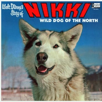 Walt Disney's Story Of Nikki, Wild Dog Of The North album cover.