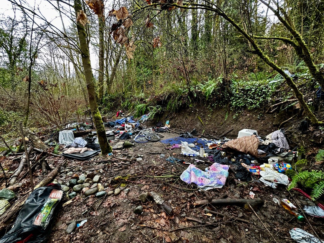 A pile of trash in the woods

Description automatically generated