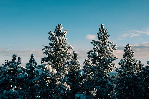 Fuji photographs of life in Montana by Tyler Knott Gregson