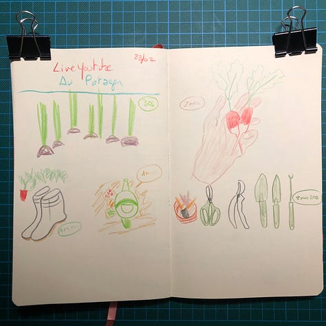 Photos des cinq doubles-pages de mon sketchbook où j’ai dessiné des scènes de potager en animant la session live sur ma chaîne Youtube.