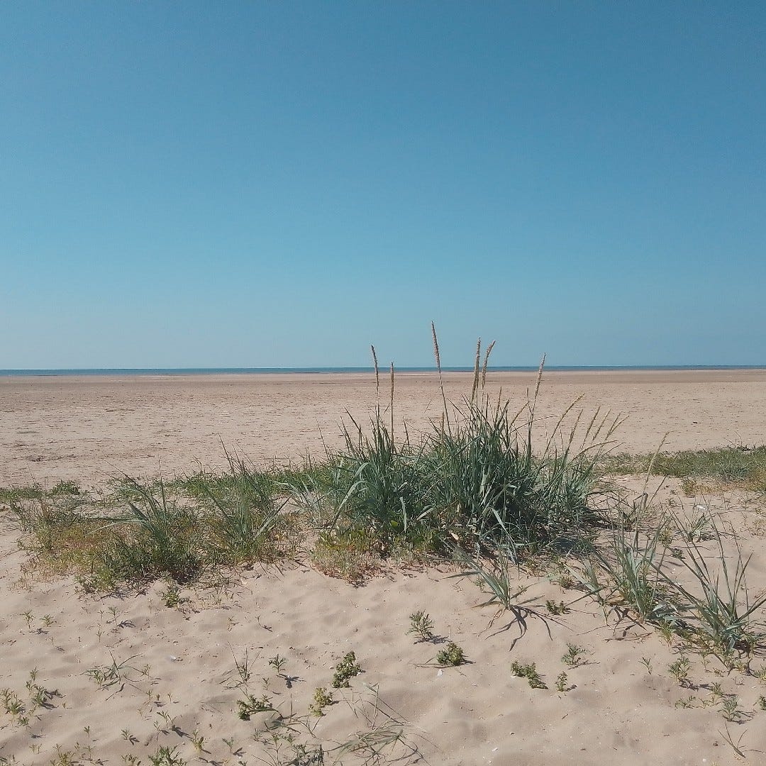 Sally Gilley's Substack