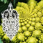 The Complete Human Biofield & What really is Electricity ? 