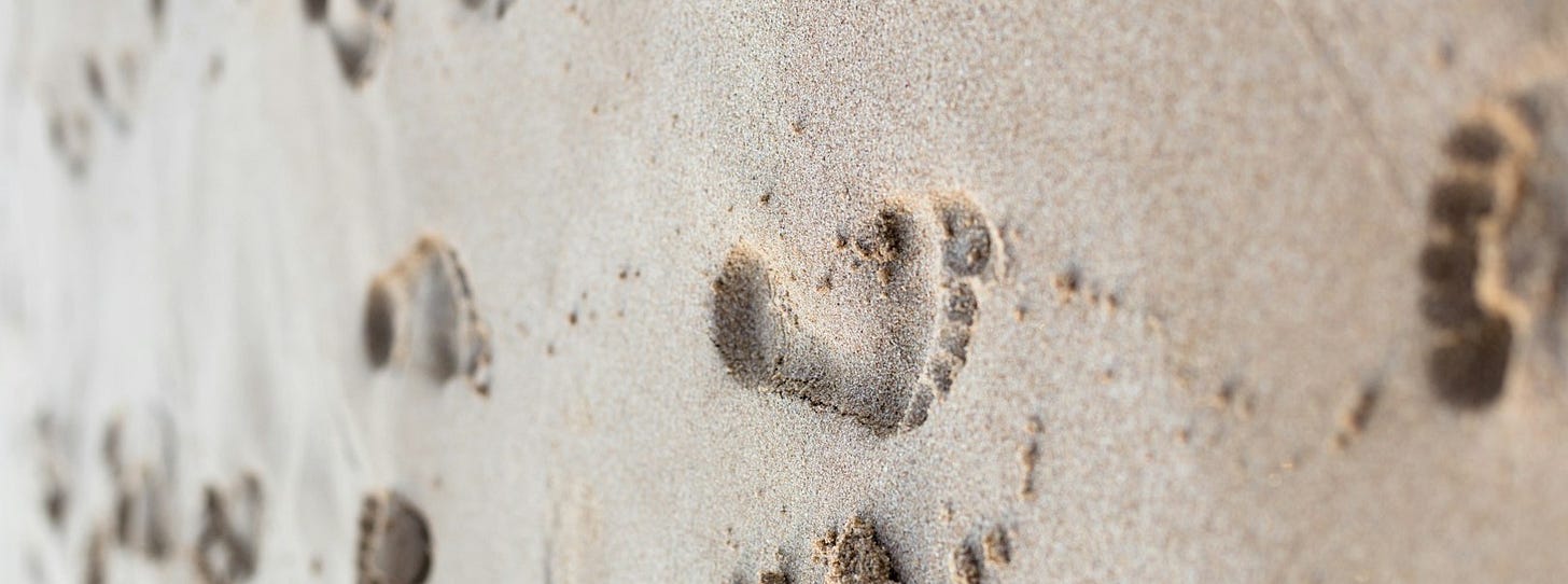 a dog paw prints in the sand on a beach