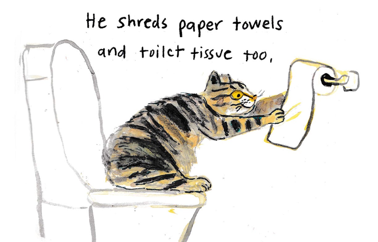 cat shredding toilet paper illustration