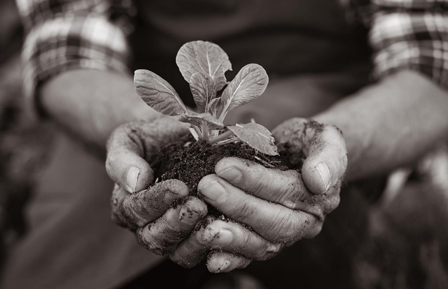 有限合伙人的层级：并非所有资金都是“绿色”的