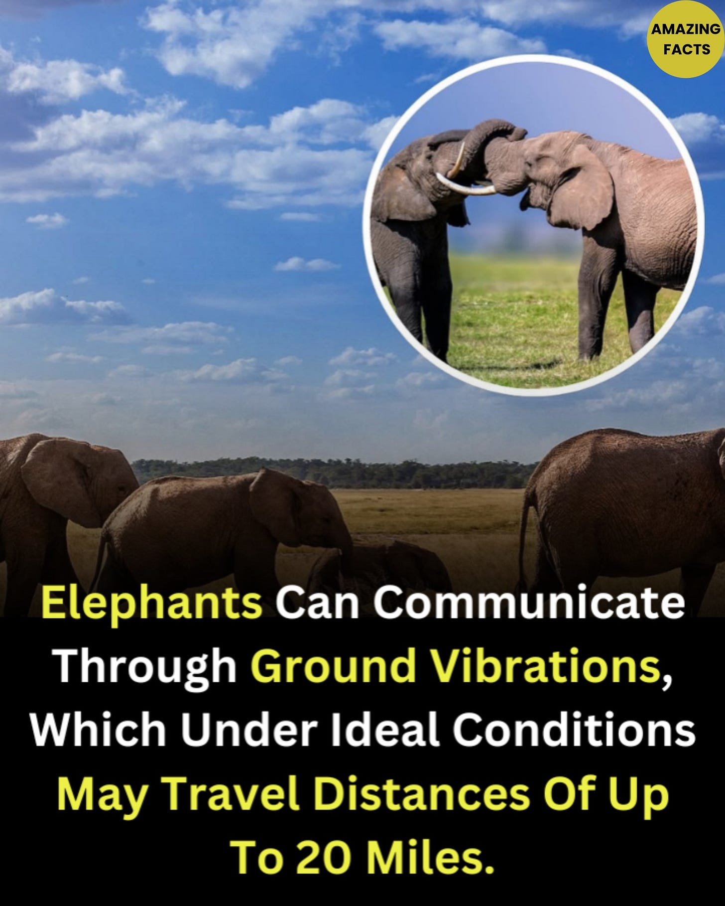 'A View From Space' w/Gary Bell Fan Club | Facebook