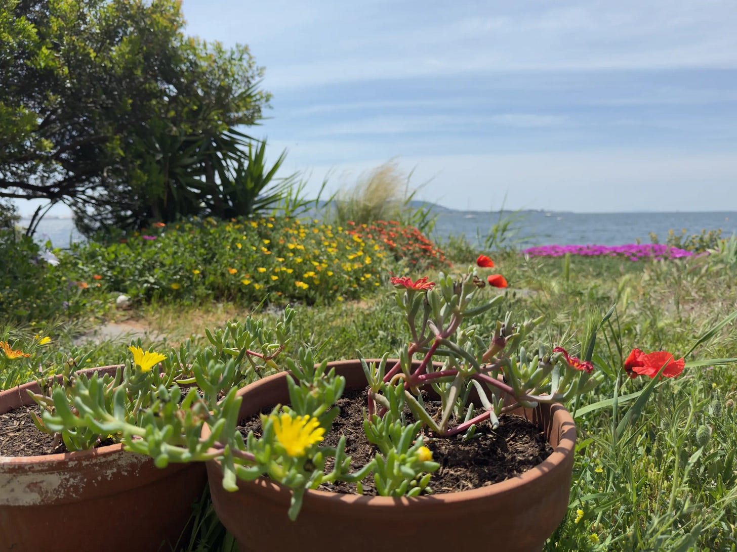 Jardin Jardin