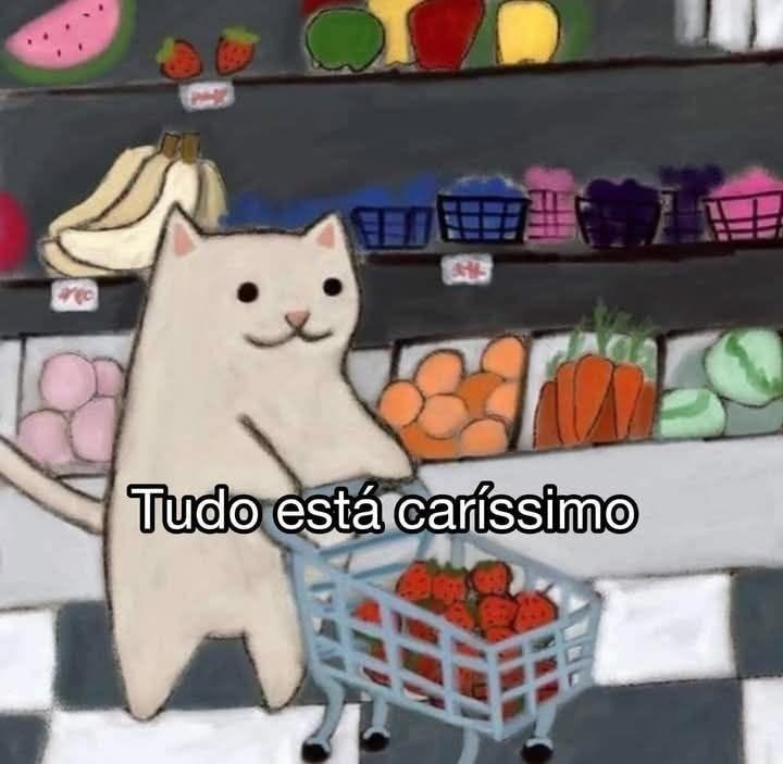 Pintura de um gato com carrinho de compras no supermercado e a frase tudo está caríssimo.