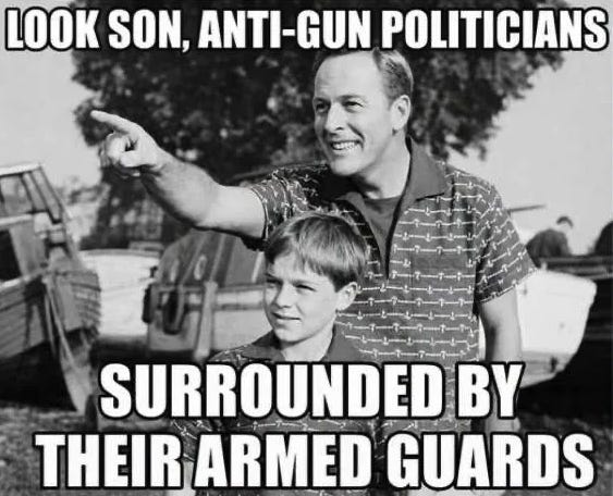 AntiGunPols.png