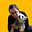 Avatar de Aude Réco